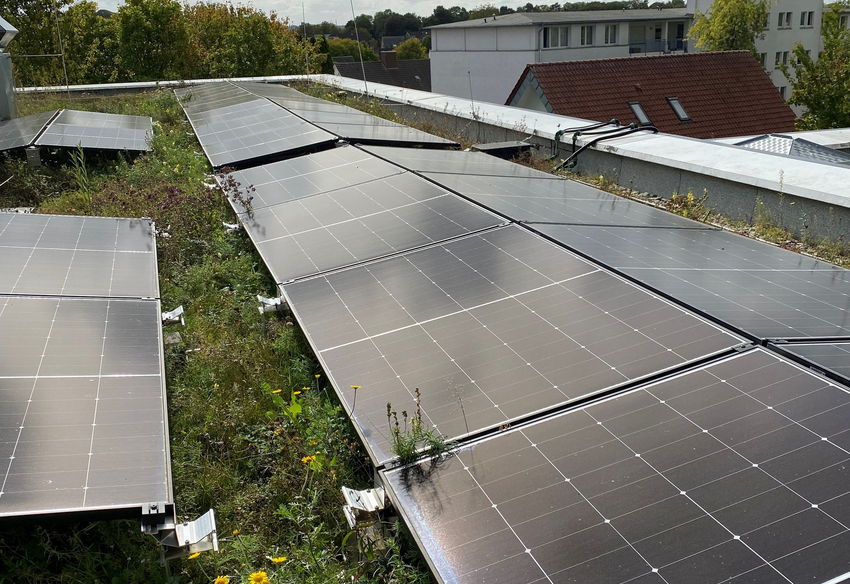 Module der PV-Anlage auf einem Gründach