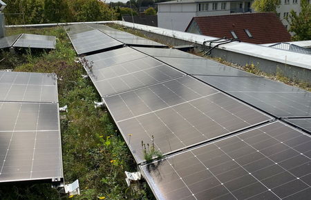 Module der PV-Anlage auf einem Gründach